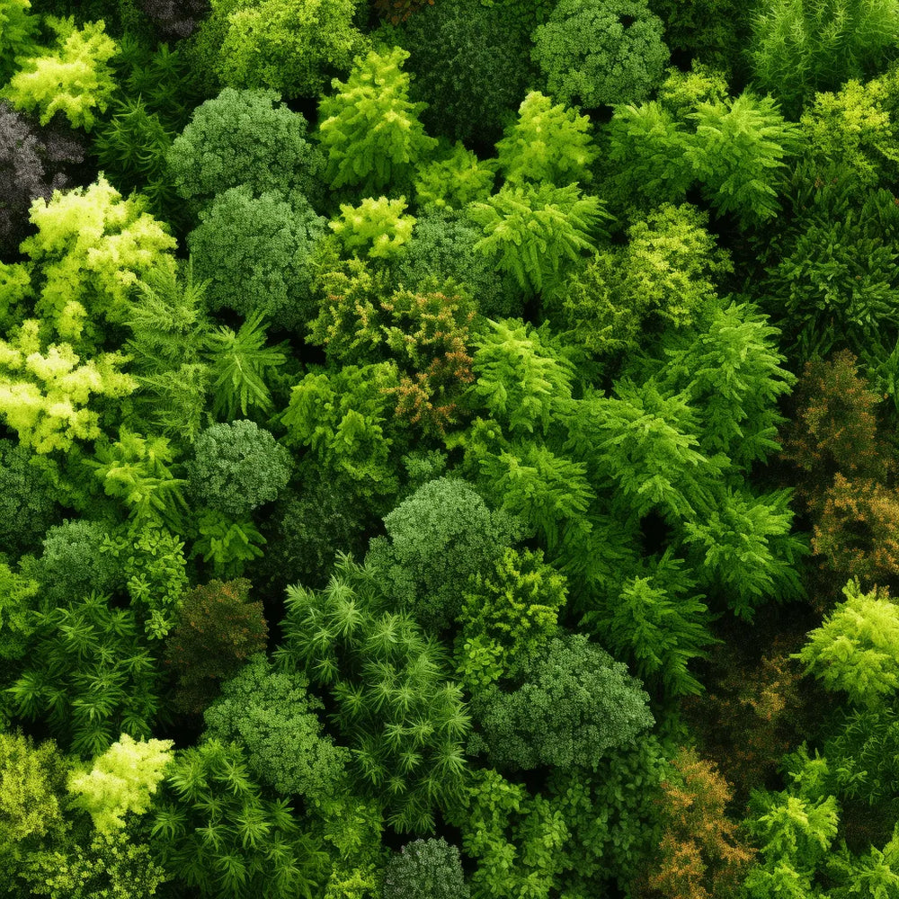 Introducing Arbor's newest tree: A revolution in gardening