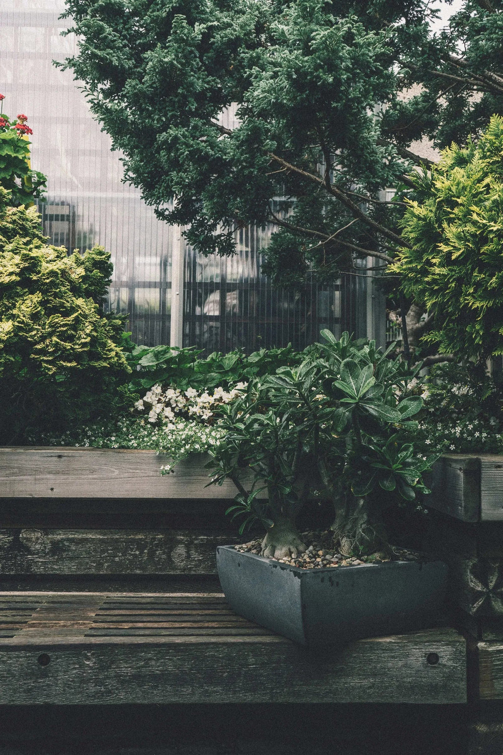 How to customize your tree experience with Arbor