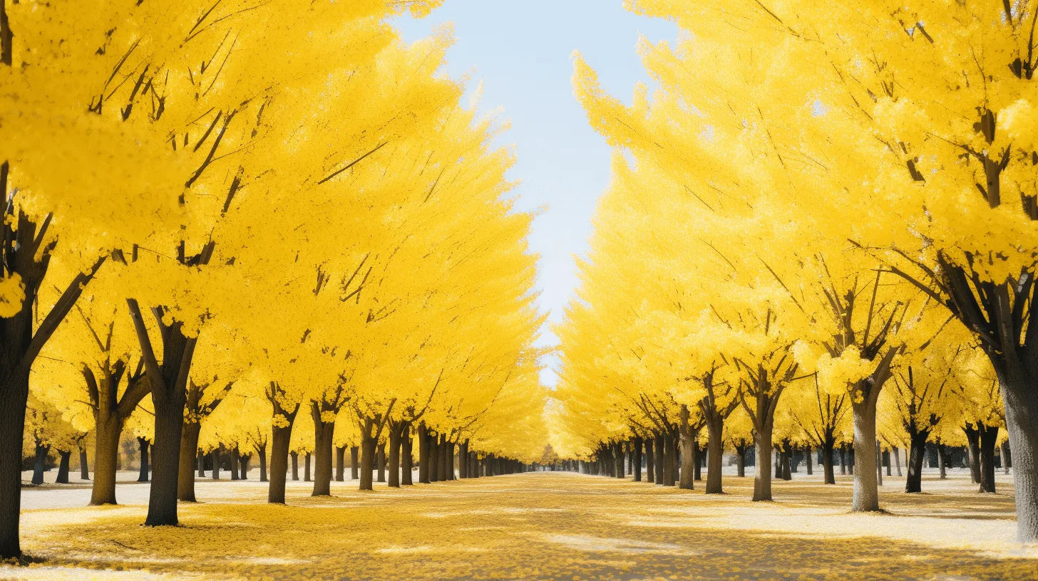 Arbor's impact report: How we're changing the gardening landscape