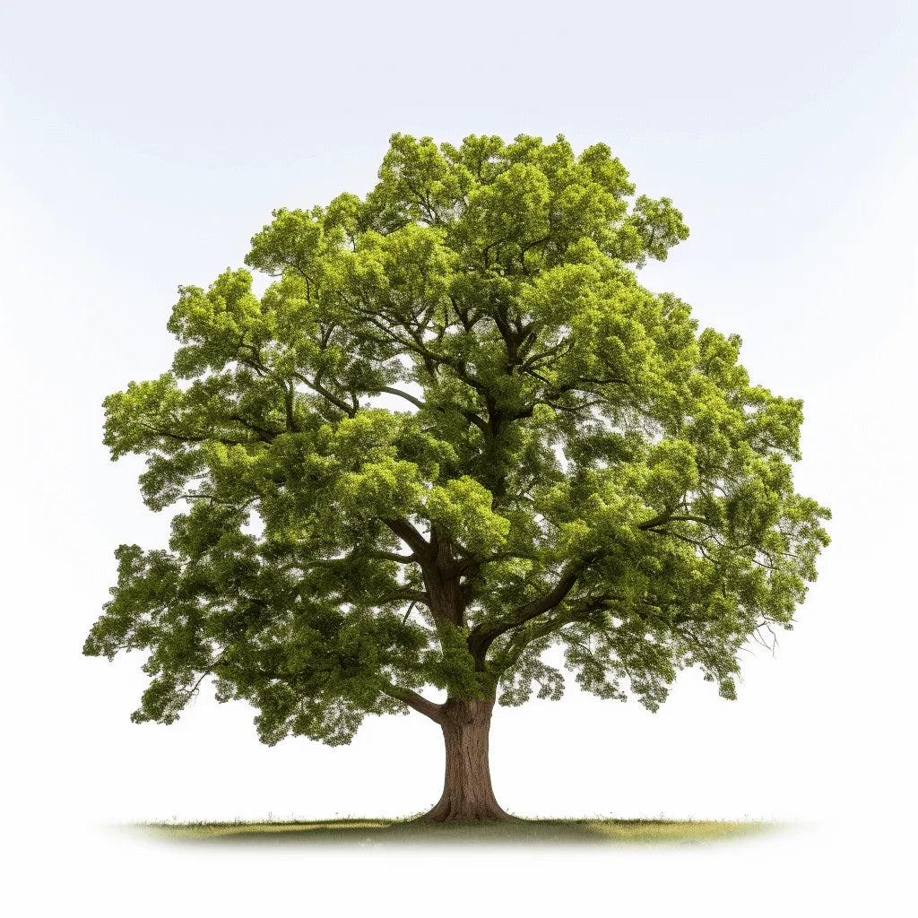 The story of Arbor: How we created our signature trees