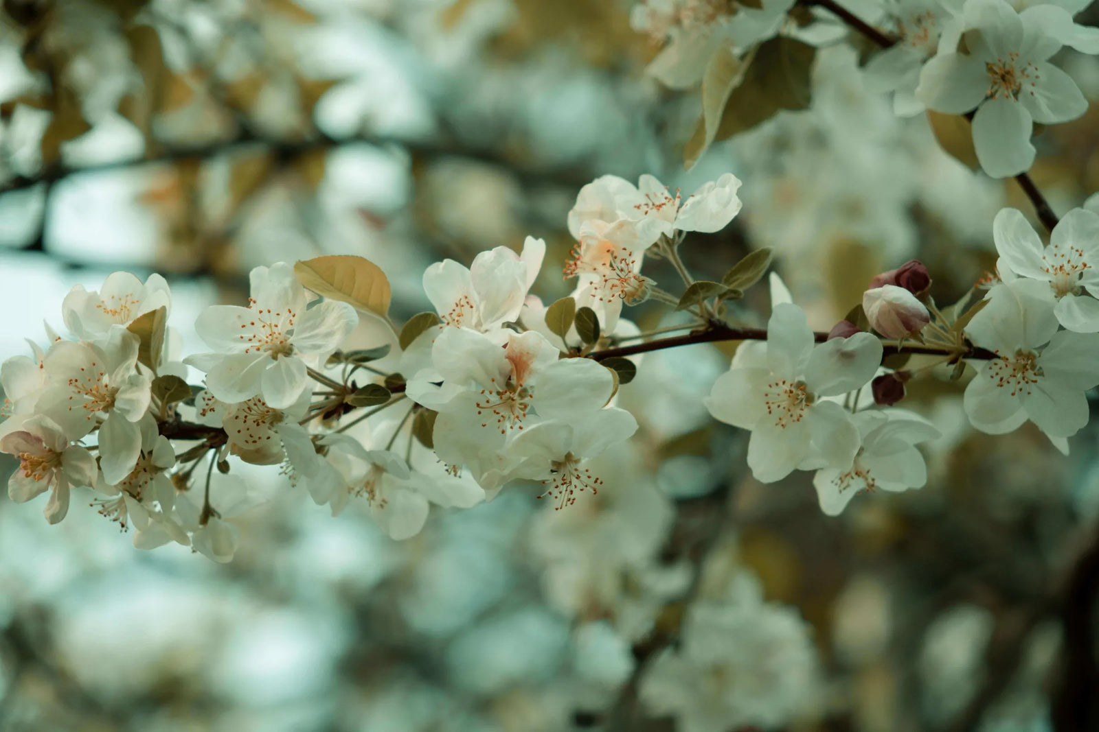 Troubleshooting common issues with Arbor's trees