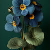 African Violet