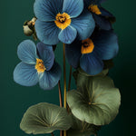 African Violet