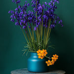 Bluebells