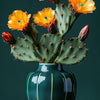 Spring Cactus