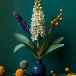 Hyacinths