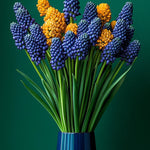 Muscari