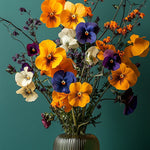 Pansies