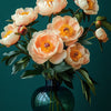 Peonies