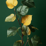 Pothos