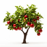 Alouette apple tree