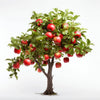 Abina apple tree