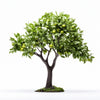 Amelie apple tree