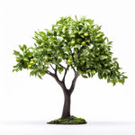 Amelie apple tree