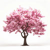 Amira cherry tree
