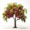 Amani cherry tree