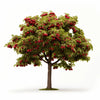 Ayan cherry tree