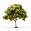 Advaith cherry tree