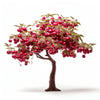 Aleena cherry tree