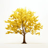 Amal ginkgo tree
