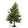 Alethea larch tree